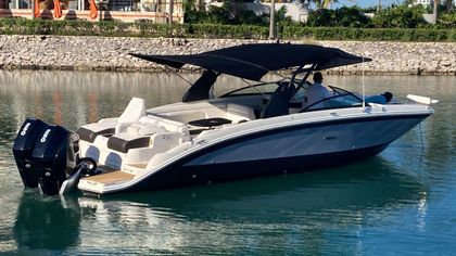 29' Sea Ray 2020 Yacht For Sale